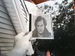 Image of People Holding Things Photo Zine